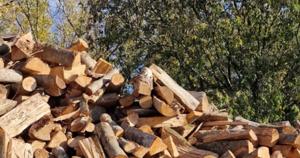 Relacionada whatsapp-image-2025-11-13-at-20949-pm.jpg