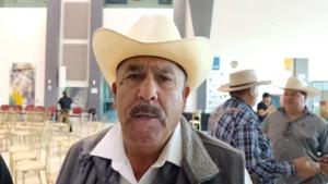 Relacionada inshot_20251114_130122540.jpg