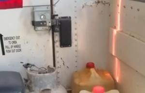 Relacionada img-20251114-wa0316.jpg