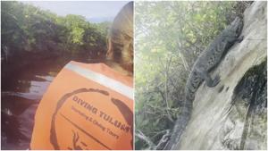 Thumb dcji4hsvmaao5cv