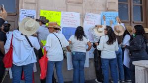 Relacionada inshot_20251115_104227524.jpg