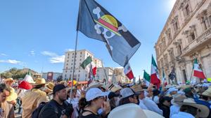 Relacionada inshot_20251115_134158475.jpg