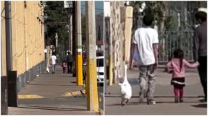 Relacionada ganso.jpg