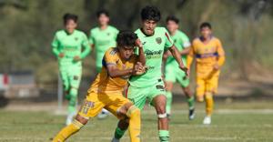 Relacionada whatsapp-image-2025-11-15-at-10242-pm.jpg