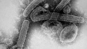 Relacionada screenshot-2025-11-15-140727-1.jpg