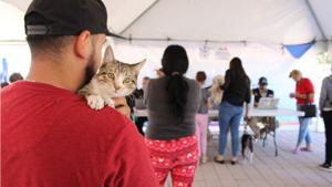 Relacionada imagen-principal.jpg