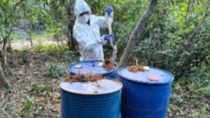 Relacionada sinaloa.jpg