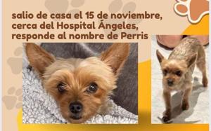 Relacionada img-20251117-wa0114.jpg