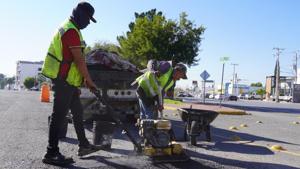 Relacionada img-20251115-wa00192.jpg