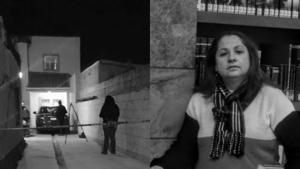 Relacionada 20251118_083048_9632.jpg