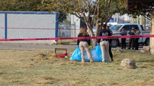 Relacionada inshot_20251118_092742140.jpg