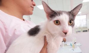 Relacionada 668aae9467501__668aae9467502.jpg