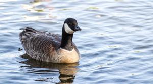 Relacionada descarga-2025-11-18t110108070.jpg