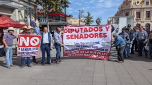 Relacionada whatsapp-image-2025-11-18-at-123441.jpg