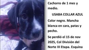 Relacionada mr-pickles.jpg