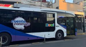 Relacionada bowi.jpg