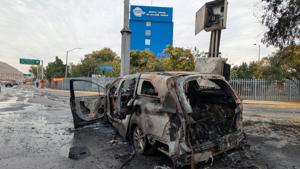 Relacionada inshot_20251119_104605408.jpg