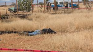 Relacionada inshot_20251119_130927923.jpg