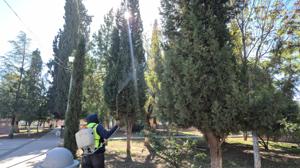 Relacionada parques.jpg