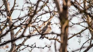 Relacionada whatsapp-image-2025-11-19-at-33355-pm.jpg