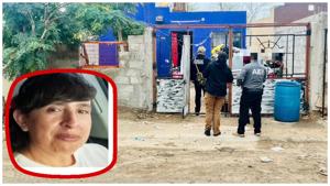 Relacionada whatsapp-image-2025-11-19-at-65745-pm.jpg