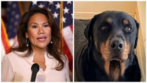 Relacionada 434525fe-78bd-42d3-8fa1-9bcb2e4064a3.jpg