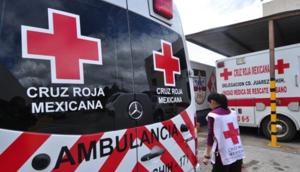 Relacionada whatsapp-image-2025-11-20-at-104622-am.jpg