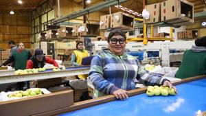 Relacionada img_2704.jpg