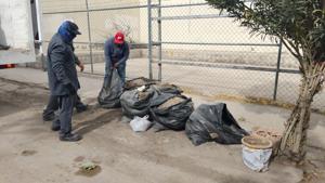 Relacionada whatsapp-image-2025-11-20-at-35615-pm.jpg