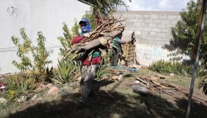 Relacionada whatsapp-image-2025-11-20-at-41638-pm.jpg