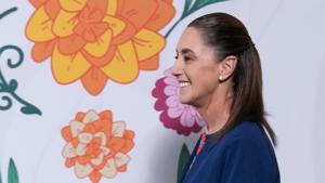 Relacionada claudia-sheinbaum-pardo-17-noviembre-2025.jpg