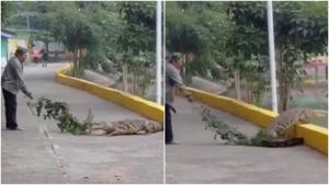 Relacionada fotojet-2.jpg