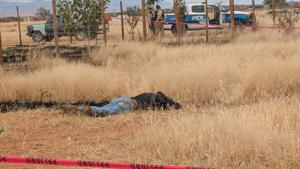 Relacionada principal_inshot_20251119_130927923.jpg