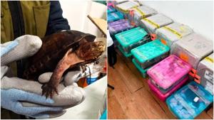 Relacionada principal_fotojet.jpg