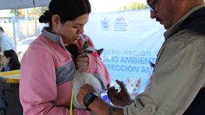 Relacionada b9db7bb2-f369-409f-b047-be9697461717.jpg