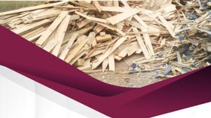 Relacionada 6920c6bcbe447__6920c6bcbe449.jpg