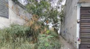 Relacionada nino-monterrey.jpg