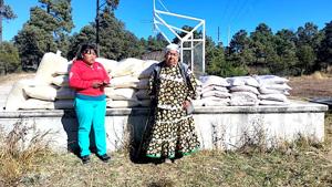 Relacionada entregaalimento1.jpg