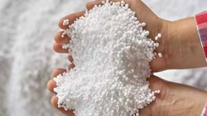 Relacionada fjoi.jpg