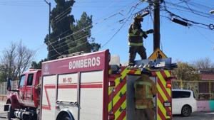 Relacionada 6924cef4c5b51__6924cef4c5b52.jpg