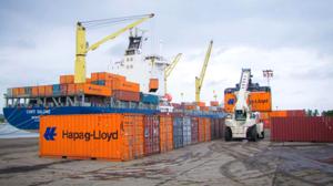 Relacionada joif.jpg