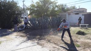 Relacionada 6924bf254930e__6924bf2549310.jpg