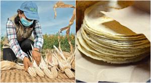 Relacionada maiz-tortilla.jpg