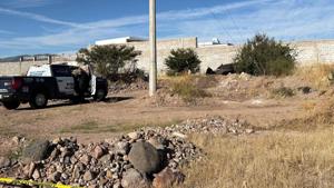 Relacionada principal_ca8810d8-69c1-4ef5-b10f-d91e27de8d31.jpg