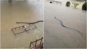 Relacionada fotojet-4.jpg