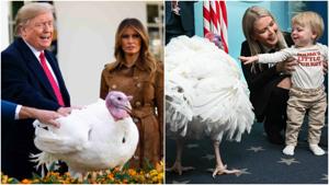 Relacionada fotojet-5.jpg