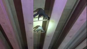 Relacionada captura-de-pantalla-2025-11-25-a-las-33535-pm.jpg