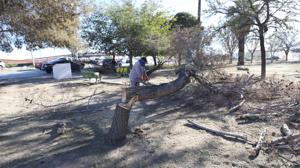 Relacionada 692634b001dc4__692634b001dc5.jpg