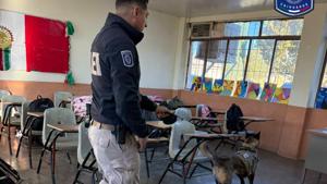 Relacionada whatsapp-image-2025-11-25-at-62944-pm.jpg