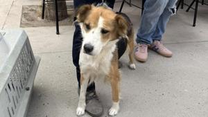 Relacionada 588535778_122171091872591972_8597333931328226035_n.jpg